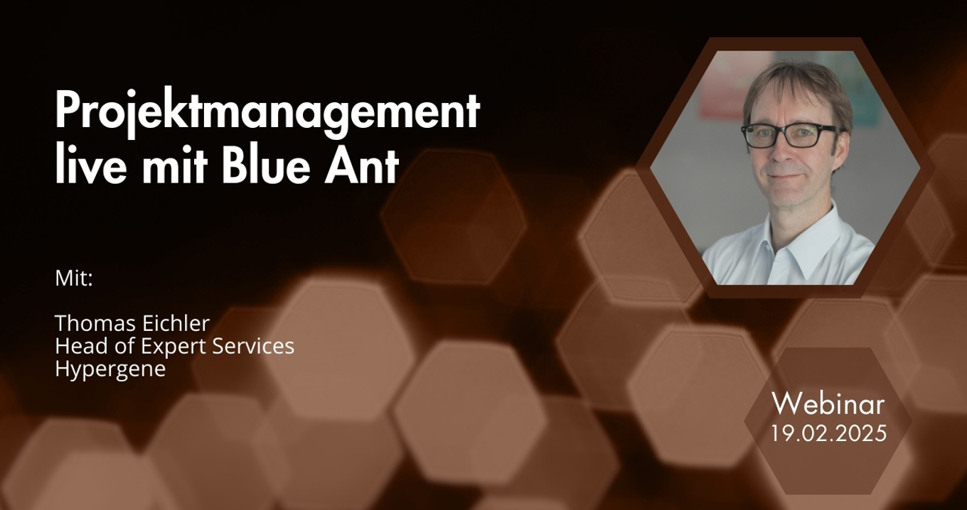 20250219 Projektmanagement Mit Blueant