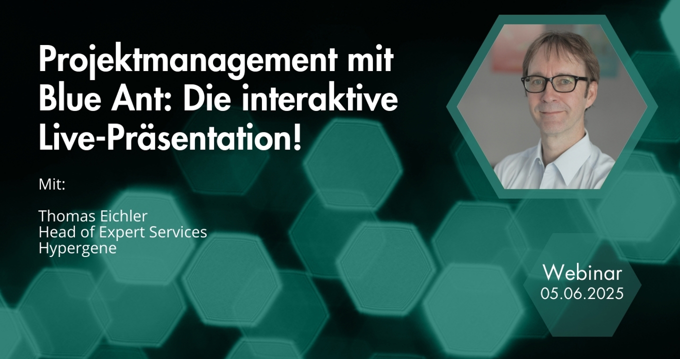 20250219 Projektmanagement Mit Blueant
