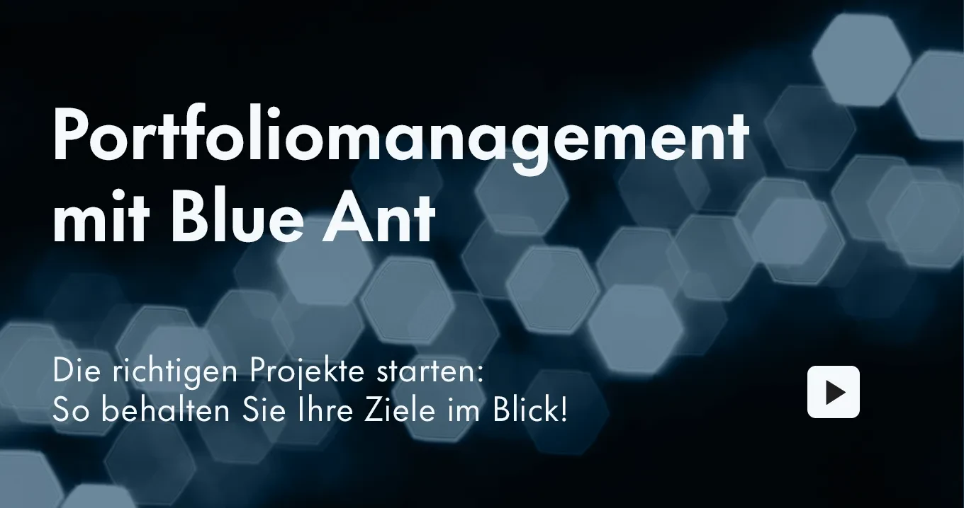 240919_wod_portfolio_mit_blue_ant